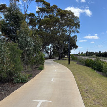 Greening the Pipeline