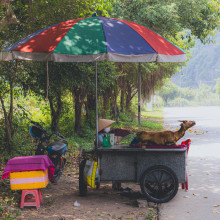 ByThe Roadside by Mario Reyes ByThe Roadside by Mario Reyes