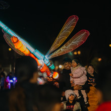 Firefly Night Market 2025
