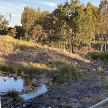 Shaheeda . Age 10. Golden Hour by the Quiet Creek Shaheeda . Age 10. Golden Hour by the Quiet Creek