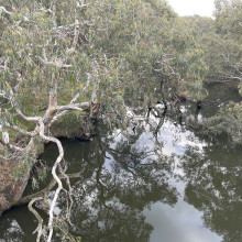 Avleen age 10. Photography of nature Avleen age 10. Photography of nature