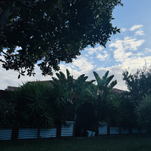 Beautiful Nature by Thaqaf, age 5 Beautiful Nature by Thaqaf, age 5