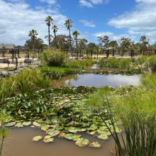 Brendan age 8. Botanical landscape Brendan age 8. Botanical landscape
