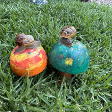 My pet snails Monty and Shelly by Airini, age 5 My pet snails Monty and Shelly by Airini, age 5
