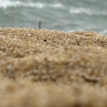 Sand crystals by Zaid age 11 Sand crystals by Zaid age 11