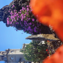 Time In Colour by Tapasya age 12 Time In Colour by Tapasya age 12