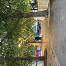 Nature by Minna, age 6 Nature by Minna, age 6