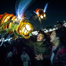 Firefly Night Market 2026