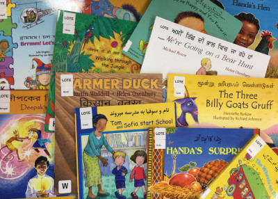 A variety of bilingual picture books