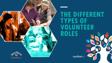 The Different Types of Volunteer Roles