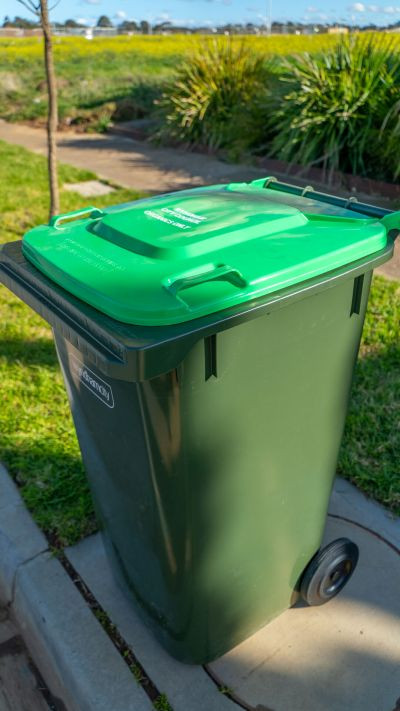 Green bin