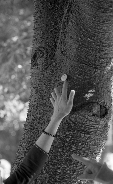 Second Nature by Damien Laing