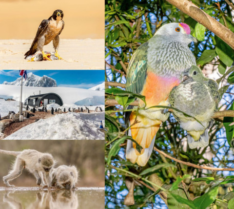 50 Years of Photography – Bob Winters