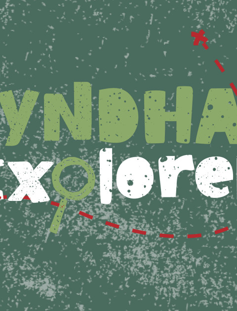 Wyndham Explorer
