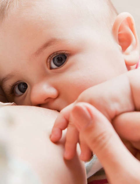 Immunisation