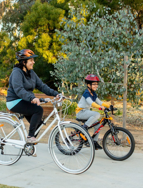 Active Transport Network