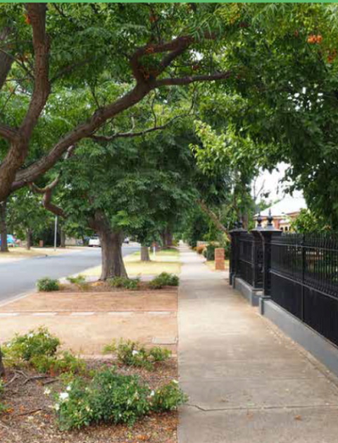 Trees and Foundations