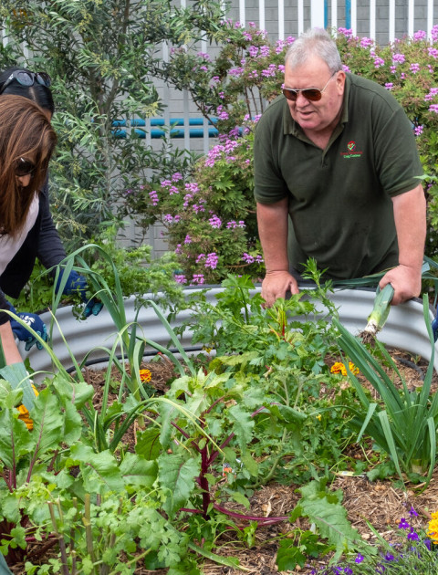 Workshops, gardening groups, seed library and more. Find out more about our Green Living programs and initiatives.