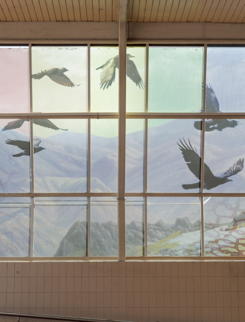 First Nations Arts Focus