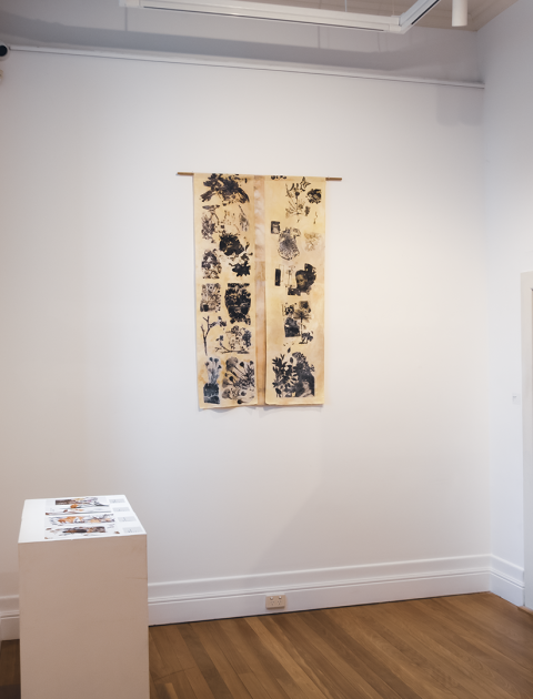 Preserving Multicultural Women's Traditional Ecological Knowledge