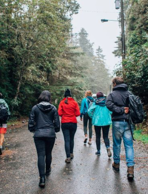 a group of people wearing different coloured rain jackets walk down a street away from the camera