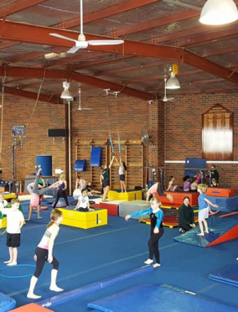 children are spread around different activity stations on blue mats, one is jumping, another has a hoop, another is balancing on a blue beam, another is trying a handstand