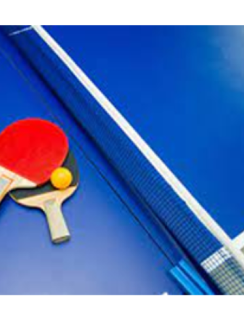 Blue table tennis table and net with a red and black bat resting and a yellow table tennis ball
