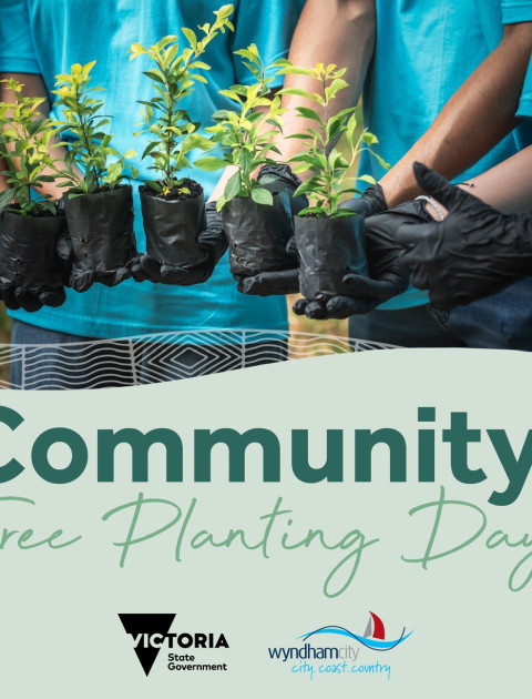 Community Planting Day
