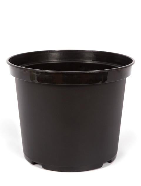 Plant pots (black plastic)