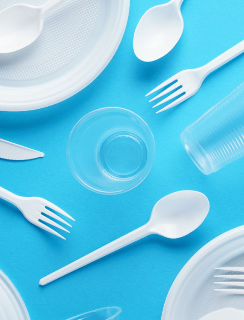 Plastic crockery