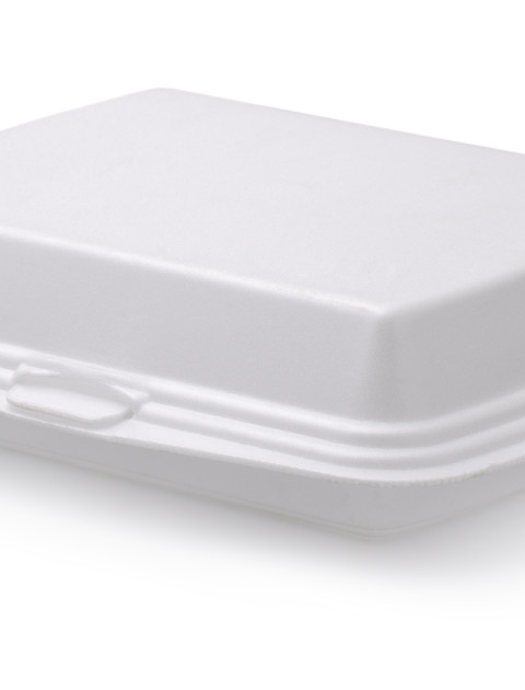 Styrofoam items (large)