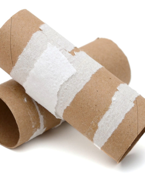 Toilet paper rolls