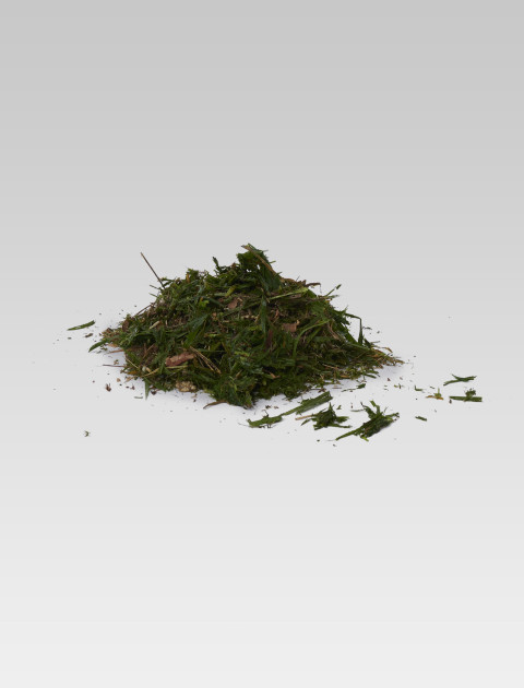 Grass Clippings
