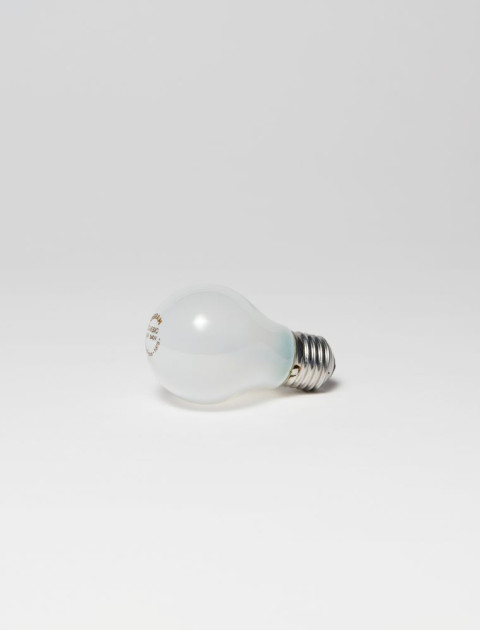 Light Bulb/Globe
