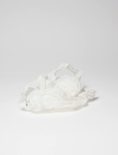 Plastic Bags (White)