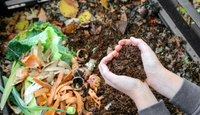 Person holding compost