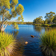 A Serene Reflection- Brendan. This photo captures the tranquility of Wyndham's natural beauty. The still waters of the lake reflect the surrounding trees and sky, creating a serene and picturesque scene. Location- Werribee Park