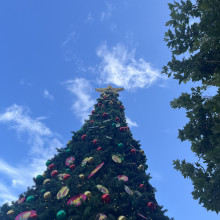 Celebration in the blue sky by Ryan. My little boy took this photograph. As he tried to capture the Christmas tree from his perspective, he created a unique and joyful composition that reflects his innocent creativity.