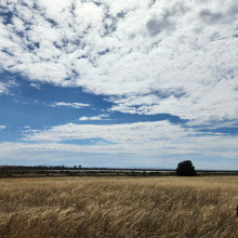 Cycling. Wetland and sky by Kyle