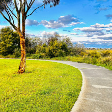 Evening walk. Beauty of Nature by Sanvika 