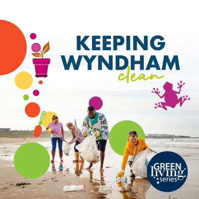 Keep Wyndham Clean