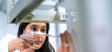 Economic Development Strategy 2022-26