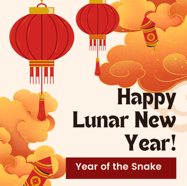 Lunar new year motif