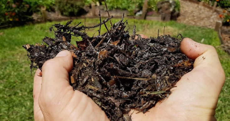 Hands holding a handful of compost