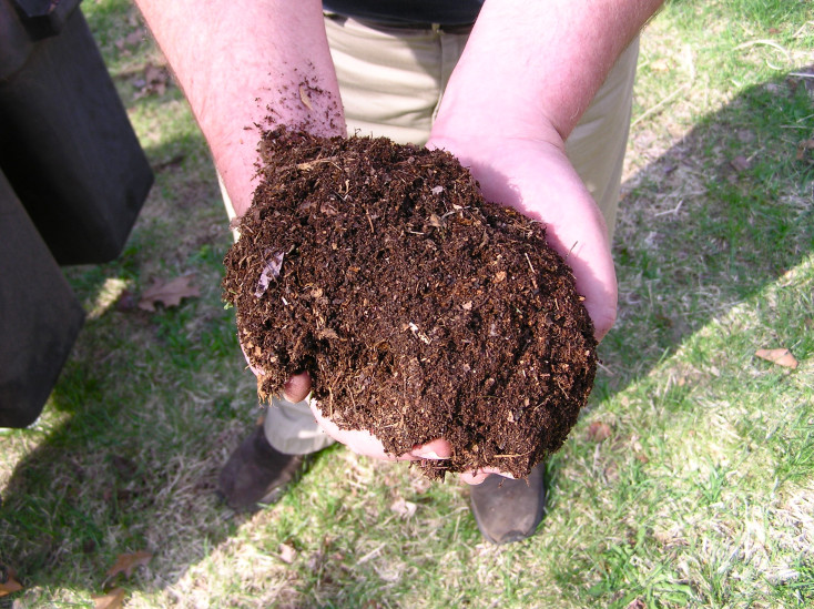 Hands holding a handful of compost