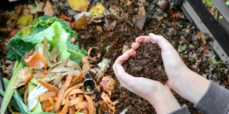 Hand holding compost