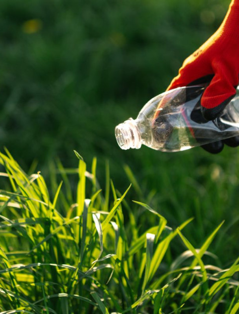 Waste Education and Initiatives