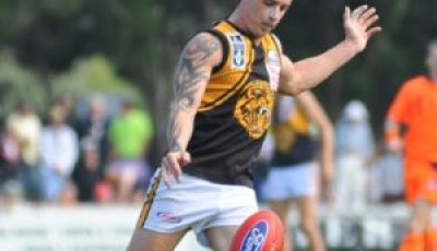 werribee football club wyndham vfl footy tigers team