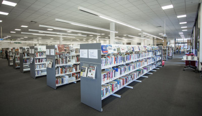 Libraries in Wyndham