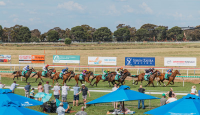 Celebrate Cup Day at Werribee!